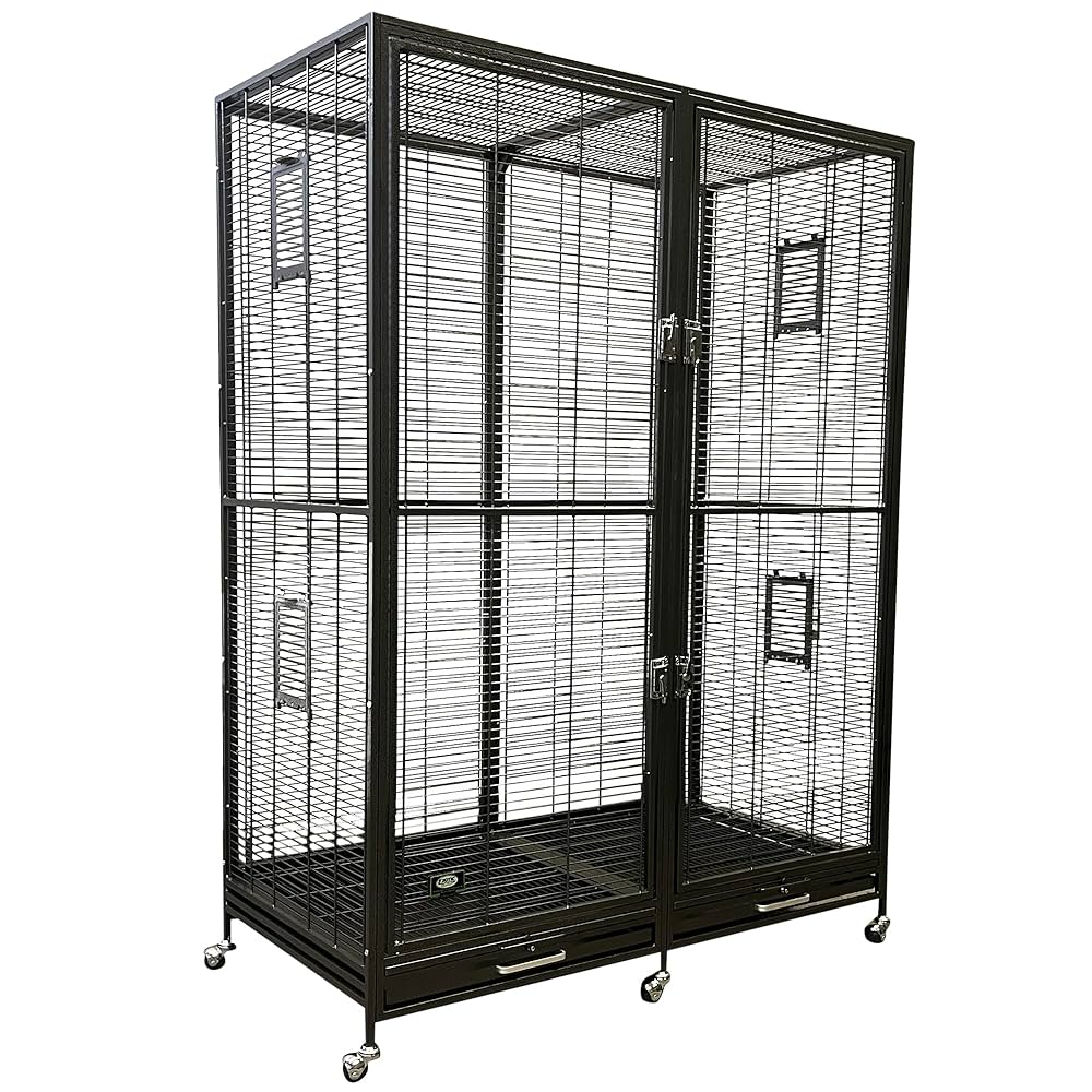 Amazon.com : Exotic Nutrition Borneo Small Animal Cage - for